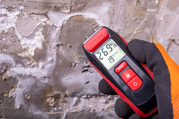 Best Crawl Space Mold Removal  in Biltmore, TN